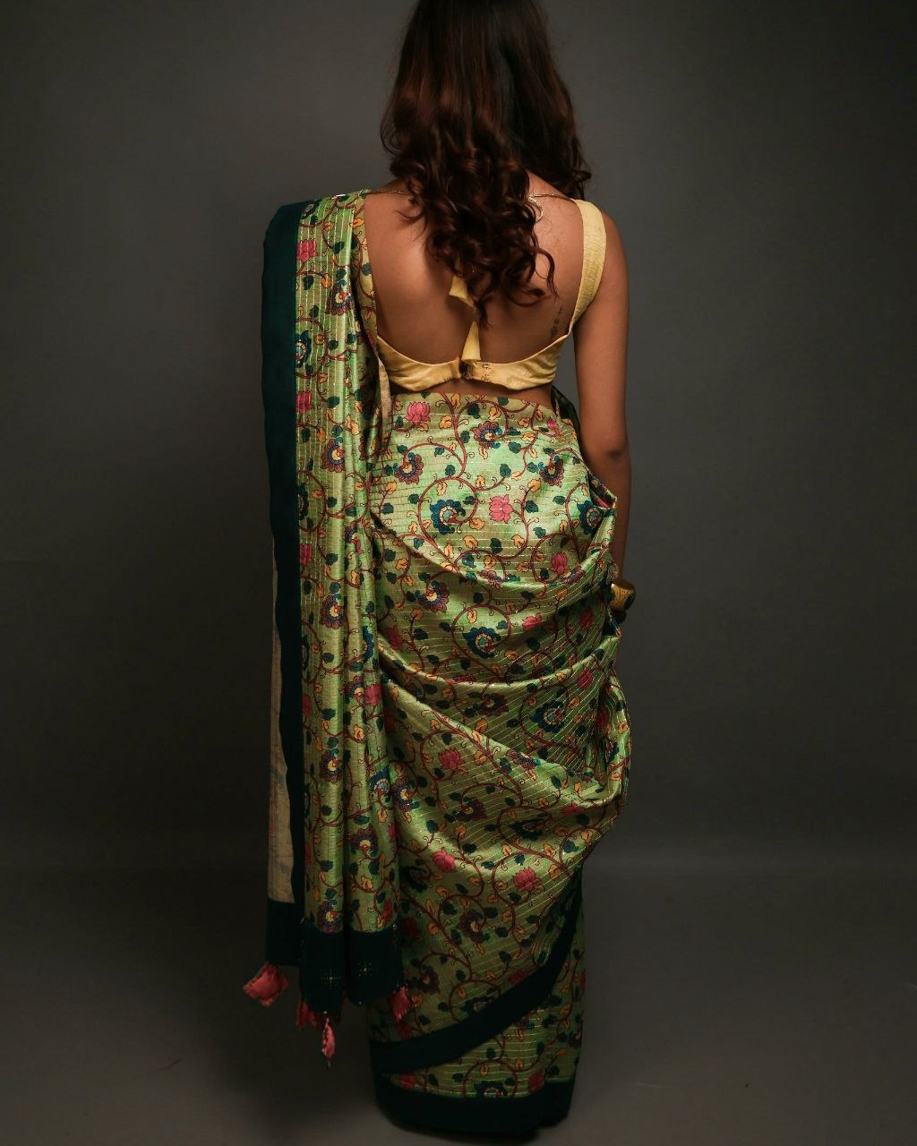 Bagh Bagh Pant Saree