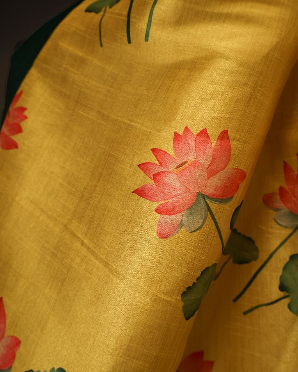 Soan Kamal Pant Saree